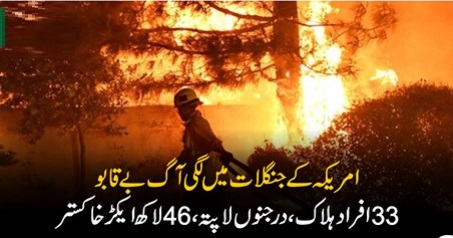 امریکہ کے جنگلات میں لگی آگ بے قابو، 33 افراد ہلاک ، درجنوں لاپتہ، 46 لاکھ ایکڑ خاکستر